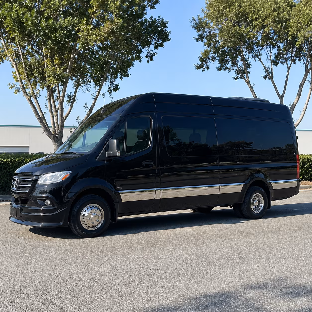 book group transportation for your next birthday 4