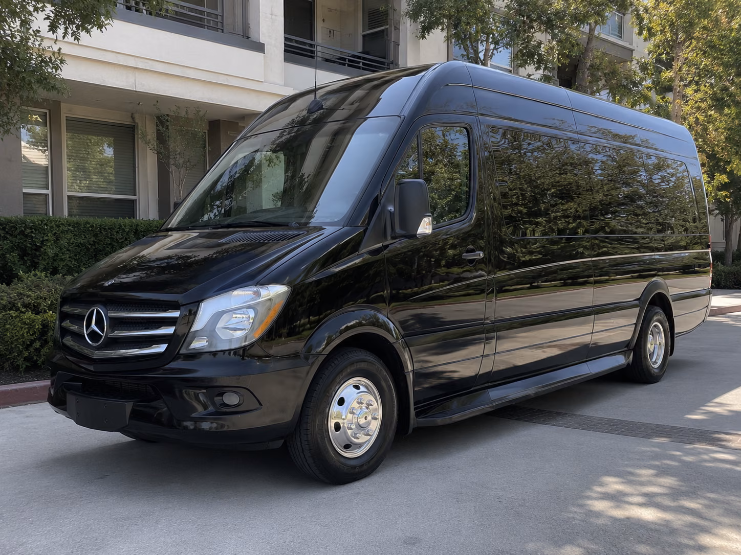 torrance sprinter van with driver